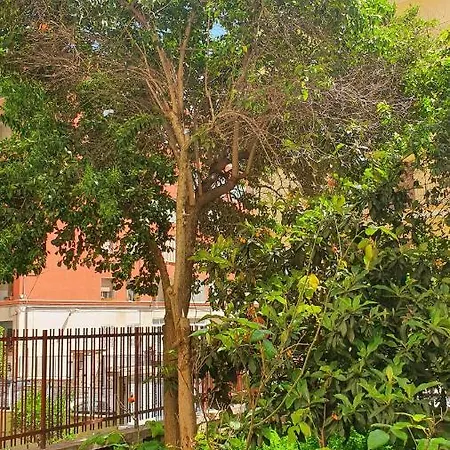 Star House - Centro 바리