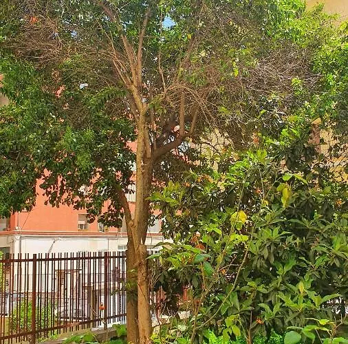 Star House - Centro Bari