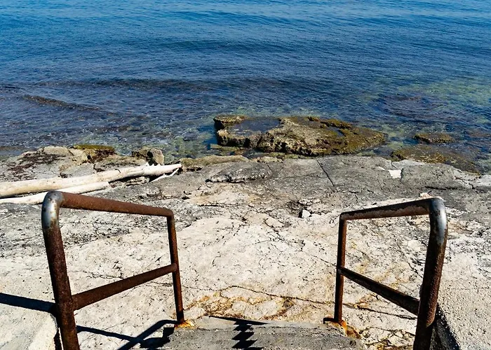 Star House - Centro *